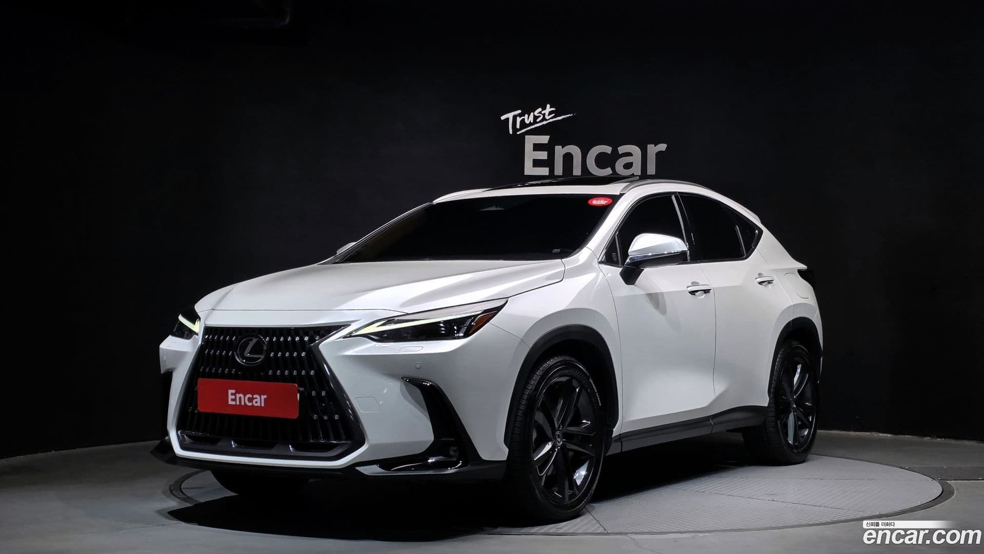 Main__Slider__Photo:NX Lexus 2024.8-0