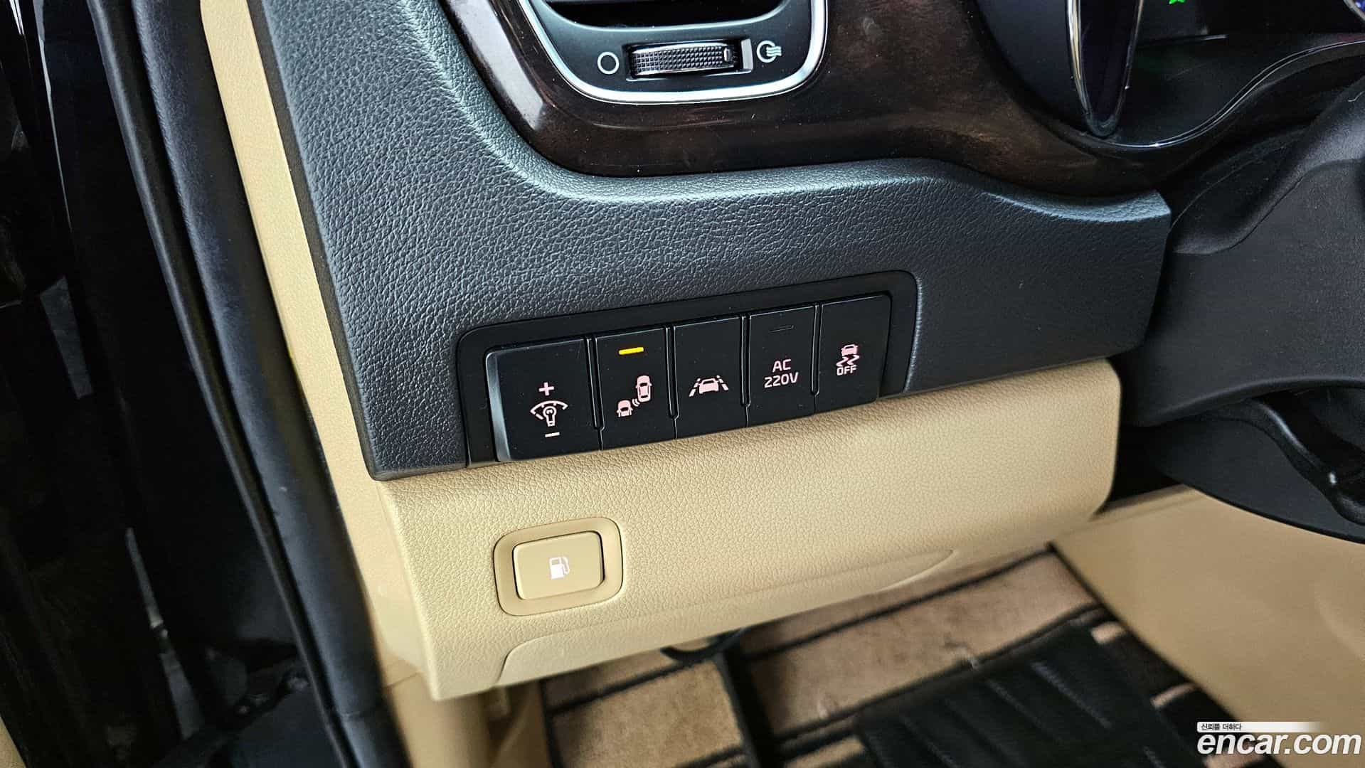 Canival Kia 2019.5-OPTION-020