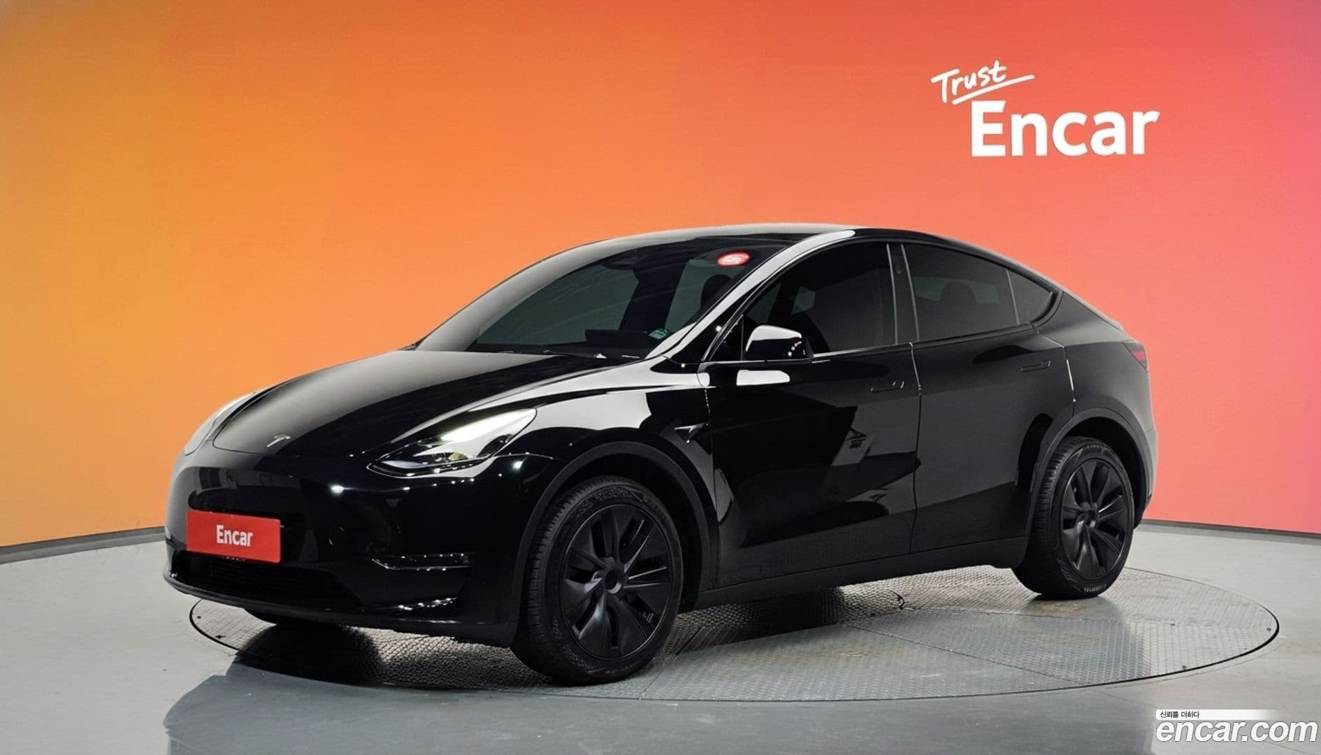 Main__Slider__Photo:Model Y Tesla 2024.8-0