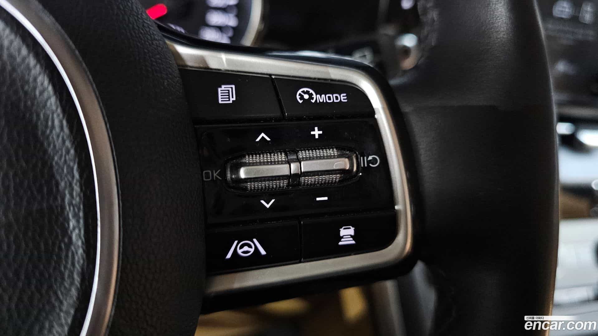 Canival Kia 2020.10-OPTION-023