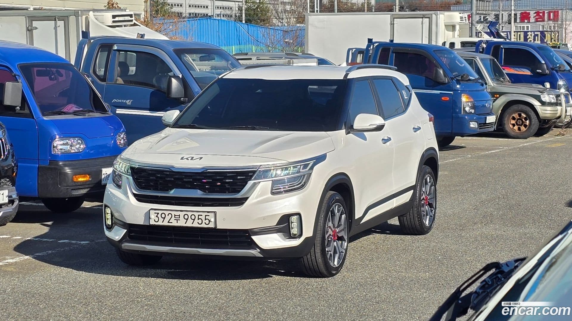 Main__Slider__Photo:Seltos Kia 2022.3-0