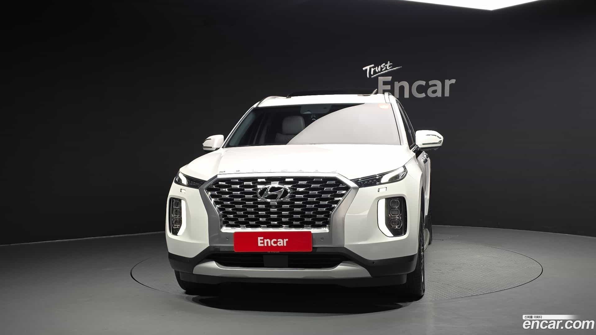 Palisade Hyundai 2020.4-OUTER-003