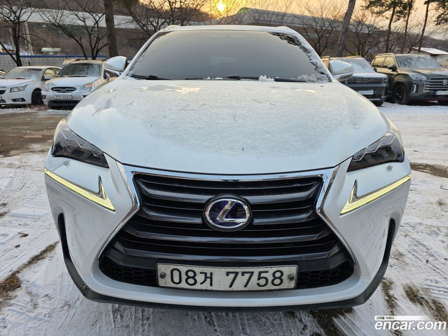 Main__Slider__Photo:NX Lexus 2017.5-0