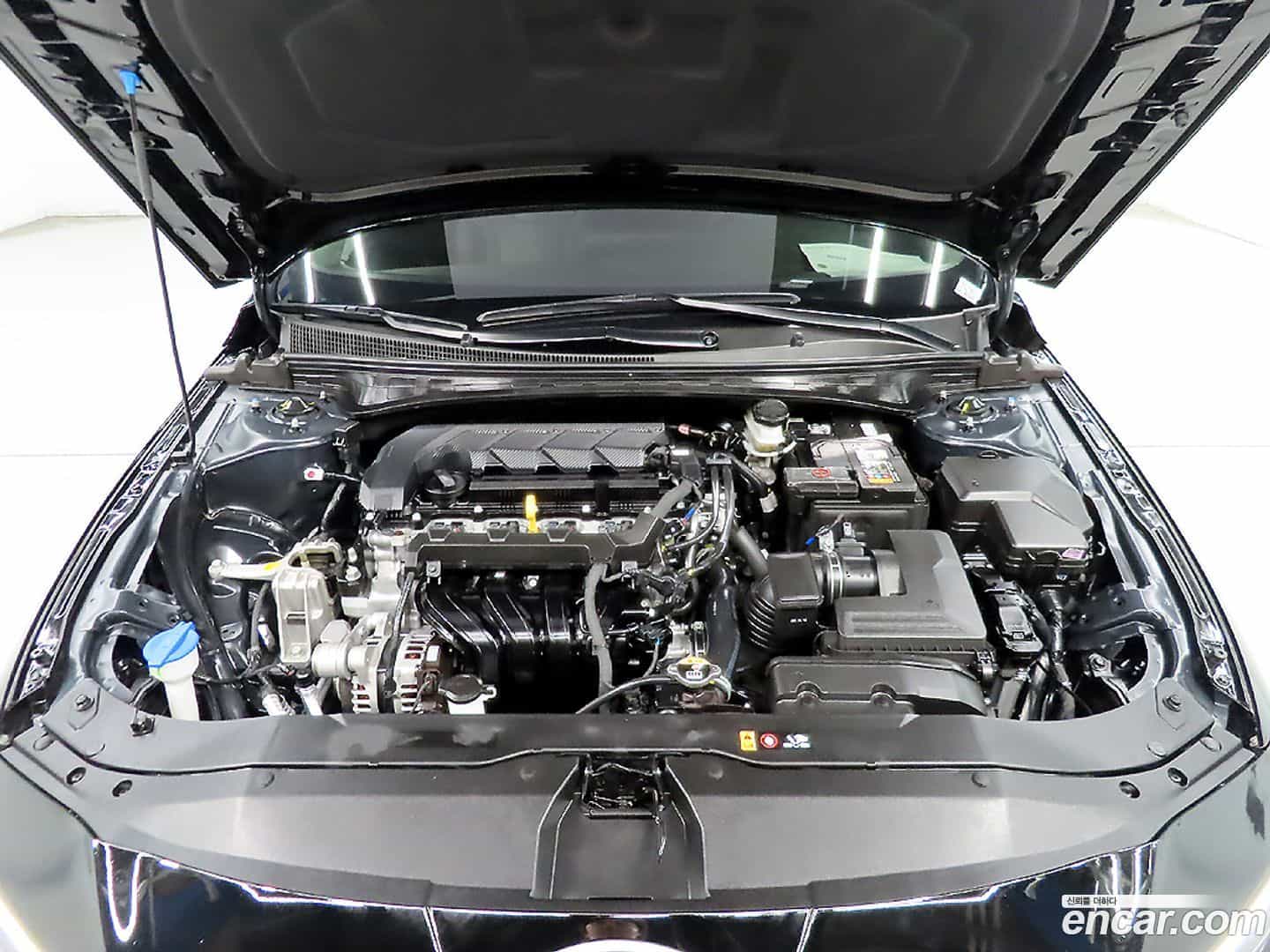 AVANTE Hyundai 2025.2-OPTION-023
