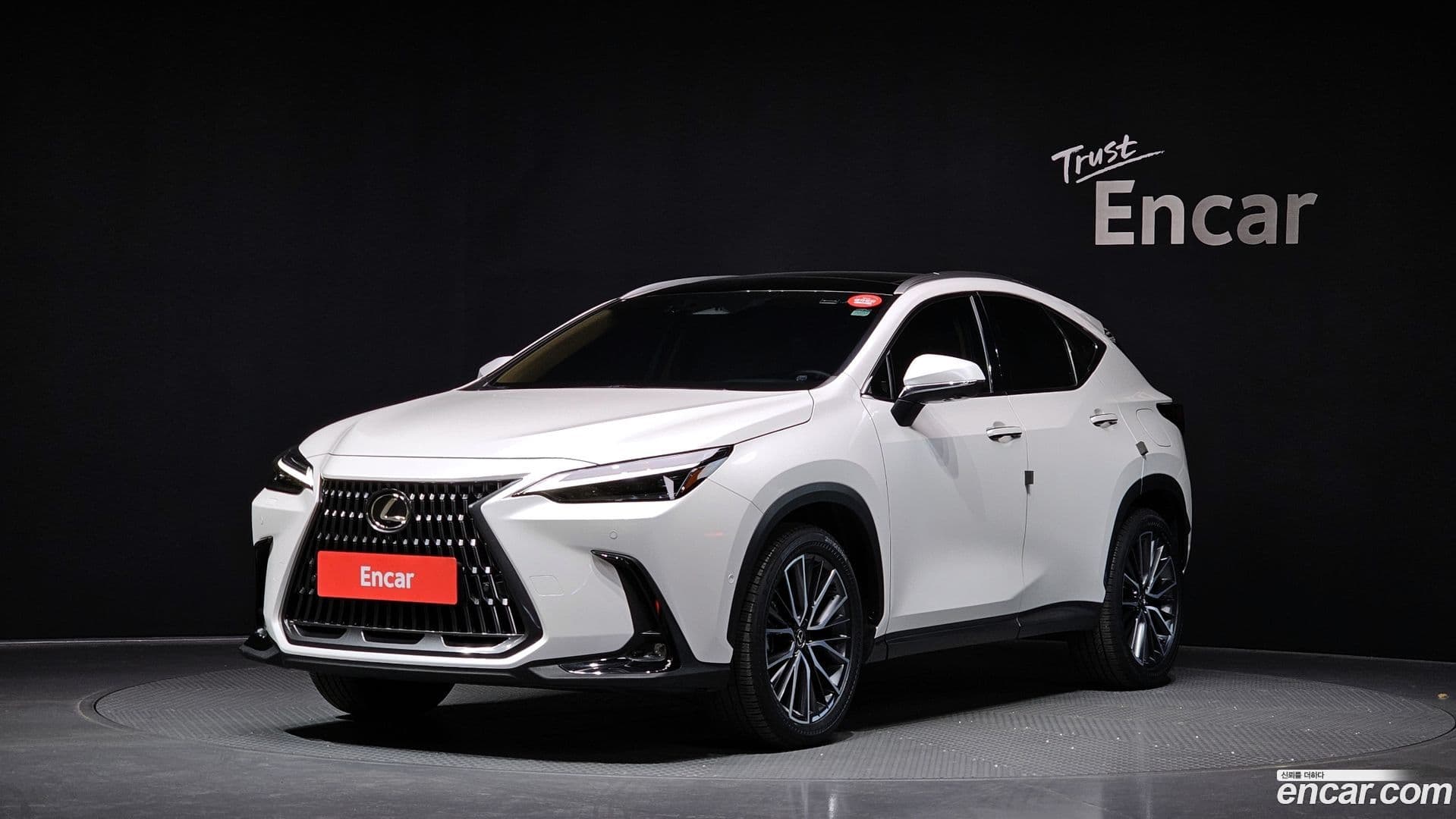 Main__Slider__Photo:NX Lexus 2024.1-0