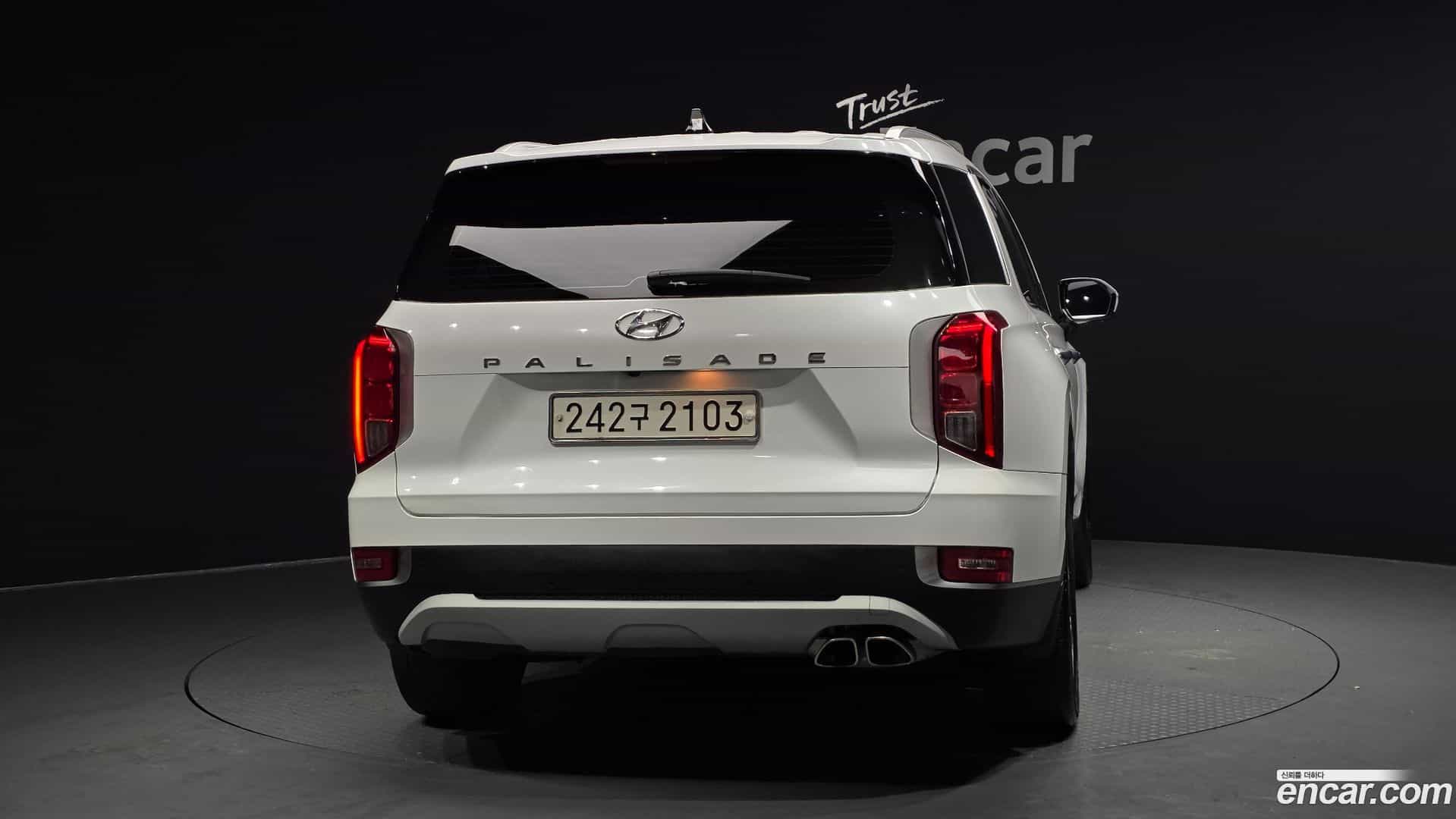 Palisade Hyundai 2020.3-OUTER-004