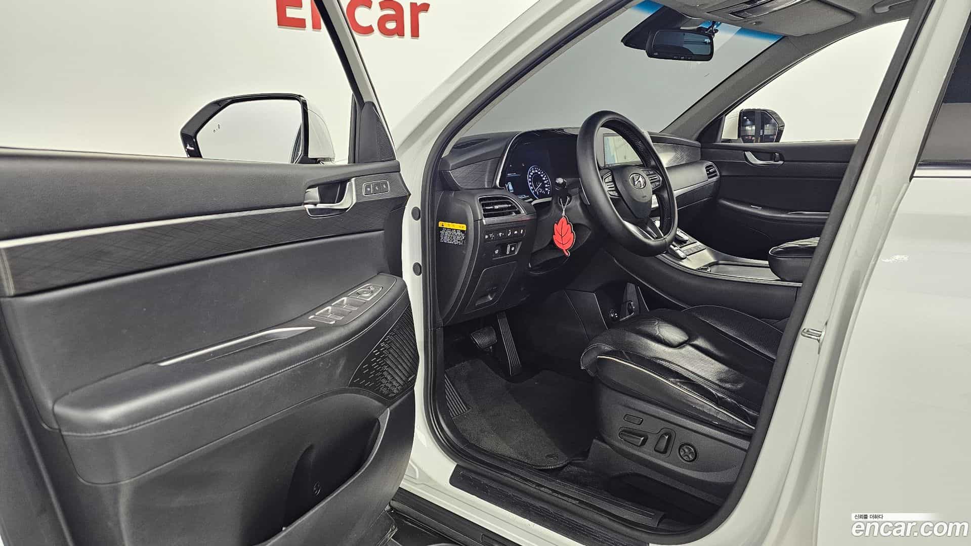 Palisade Hyundai 2019.0-OPTION-015