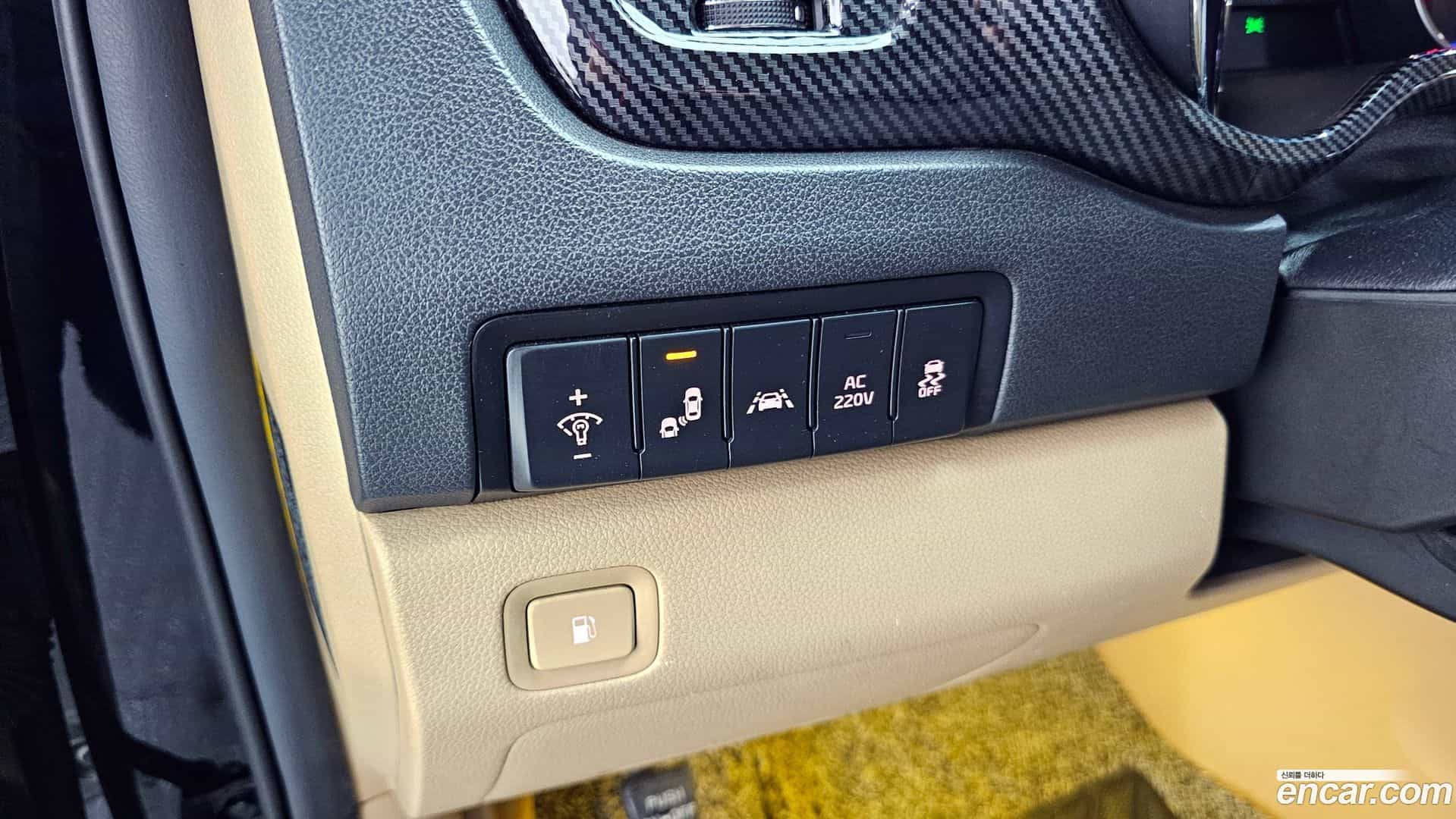 Canival Kia 2016.4-OPTION-020