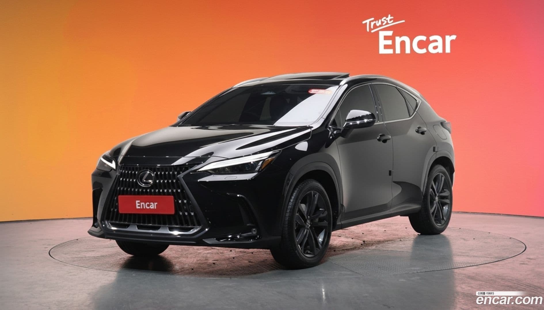 Main__Slider__Photo:NX Lexus 2024.10-0