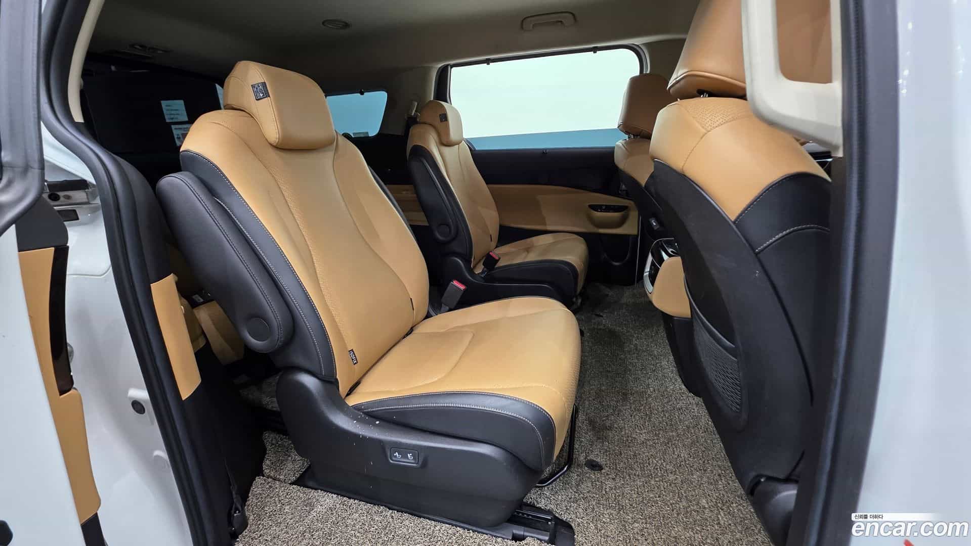 Canival Kia 2020.8-OPTION-023