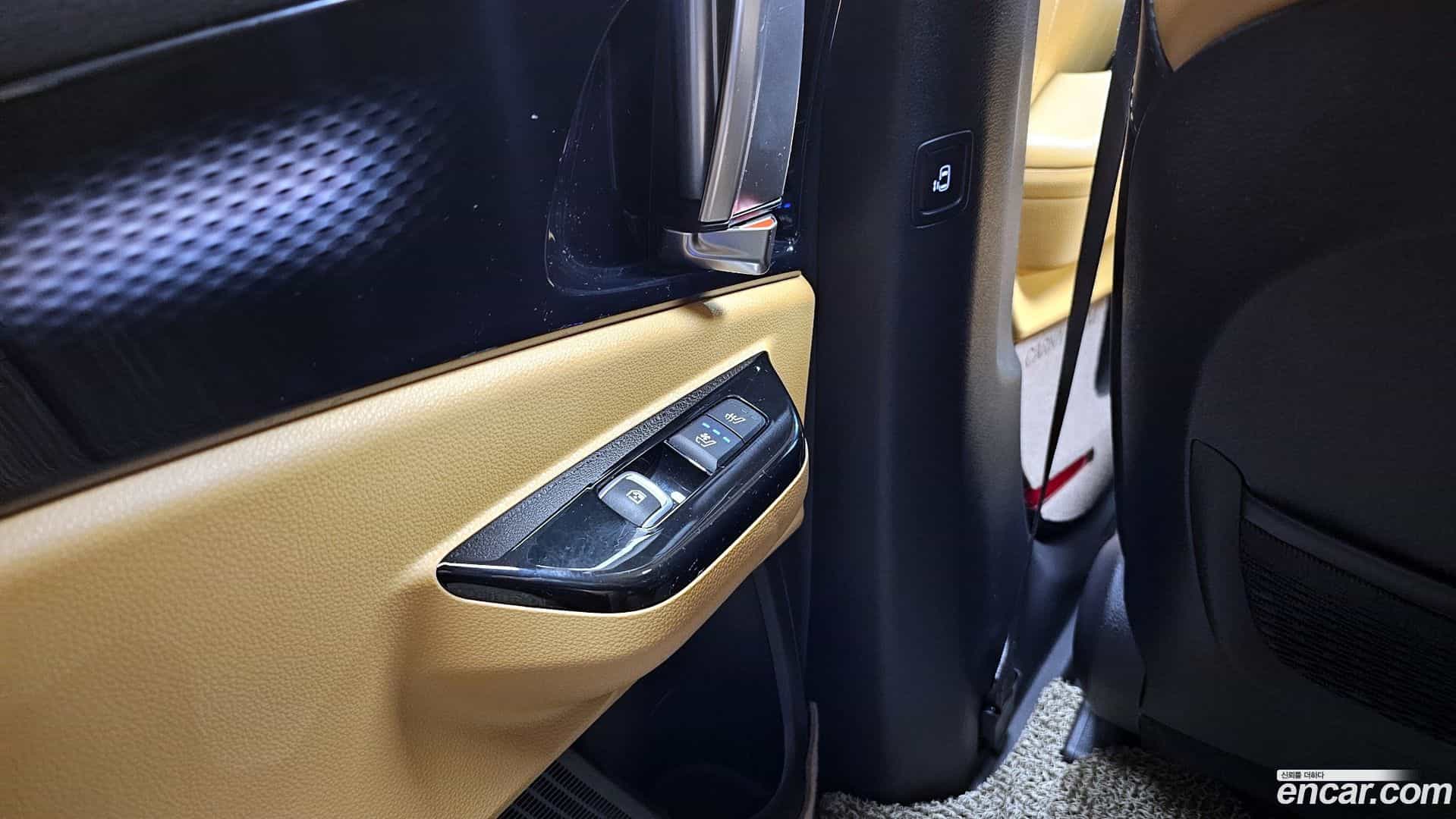 Canival Kia 2020.8-OPTION-023
