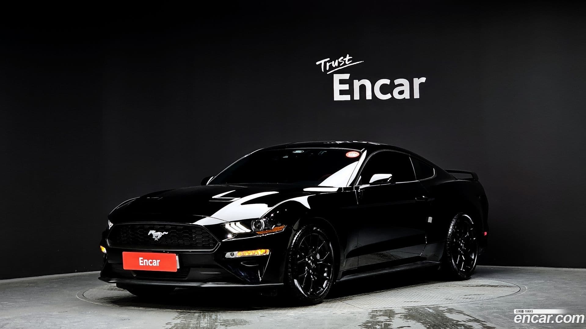 Main__Slider__Photo:Mustang Ford 2023.5-0