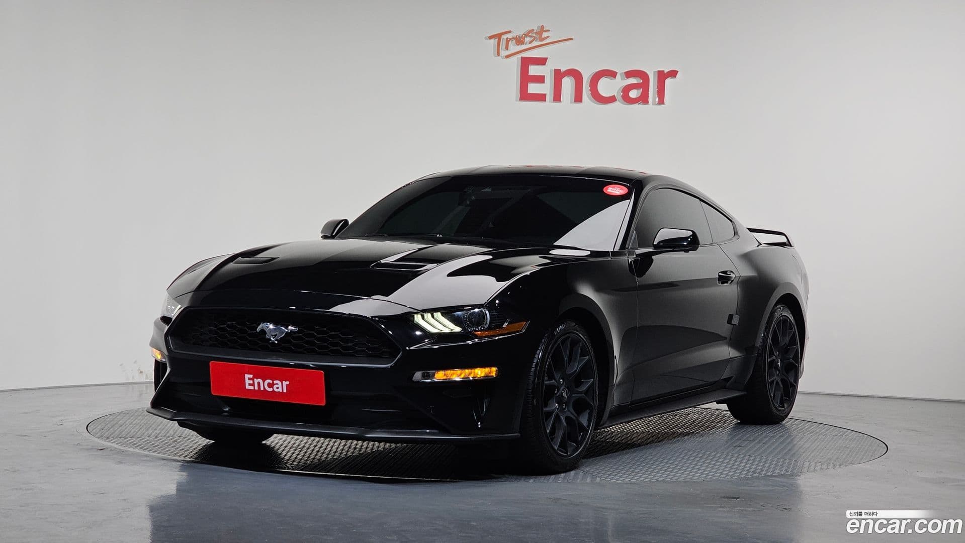 Main__Slider__Photo:Mustang Ford 2019.5-0