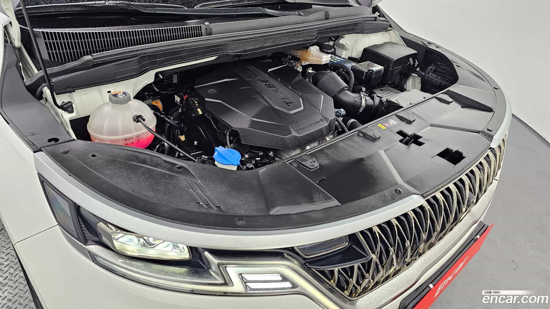 Canival Kia 2021.11-INNER-006