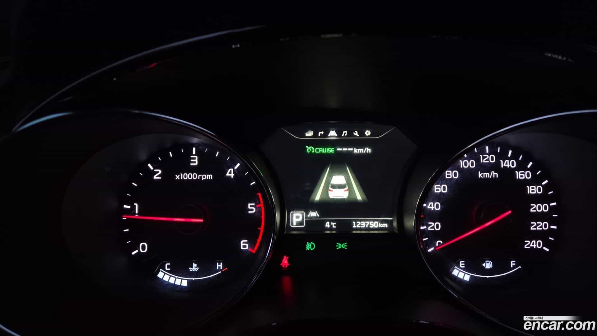 Canival Kia 2017.0-INNER-008