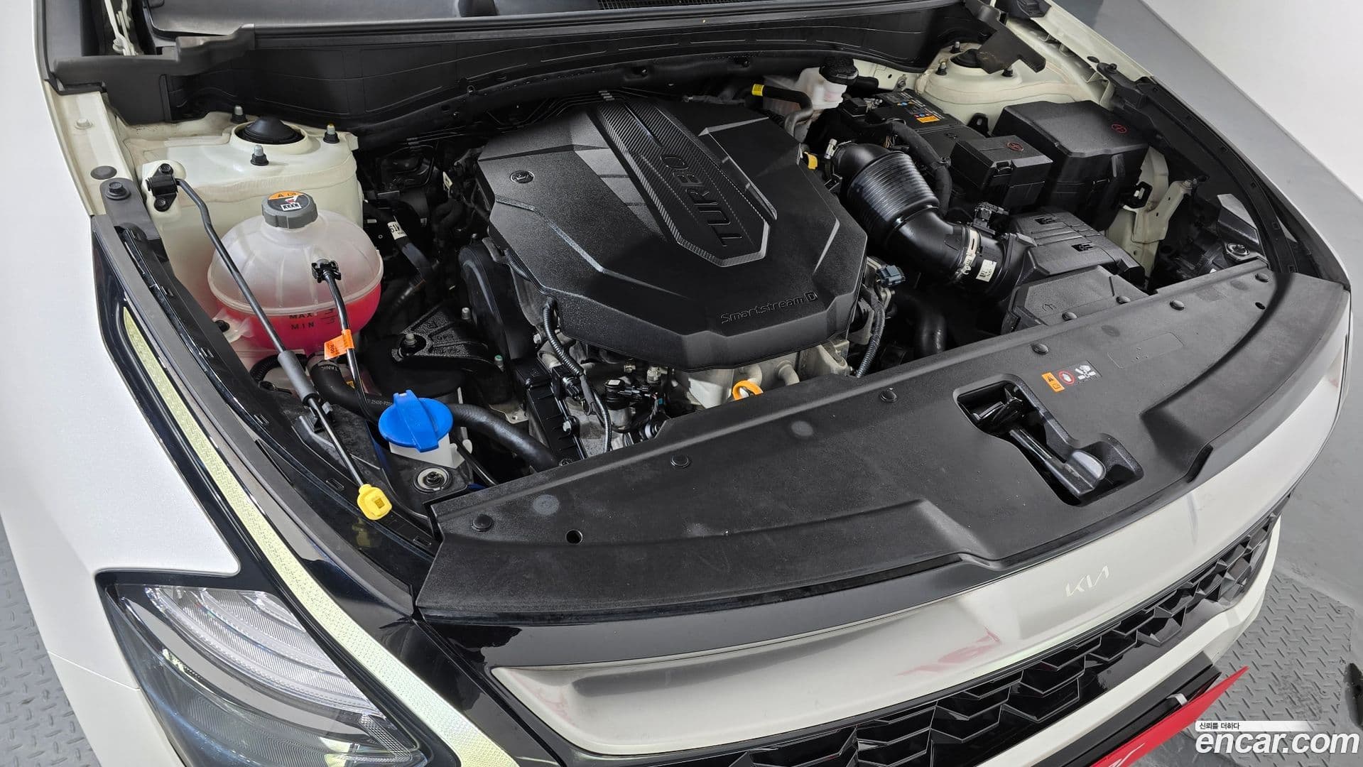 Main__Slider__Photo:Sportage Kia 2021.9-5