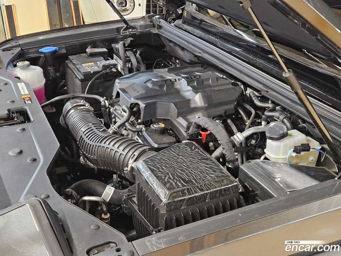 Tasman Kia 2025.4-INNER-006