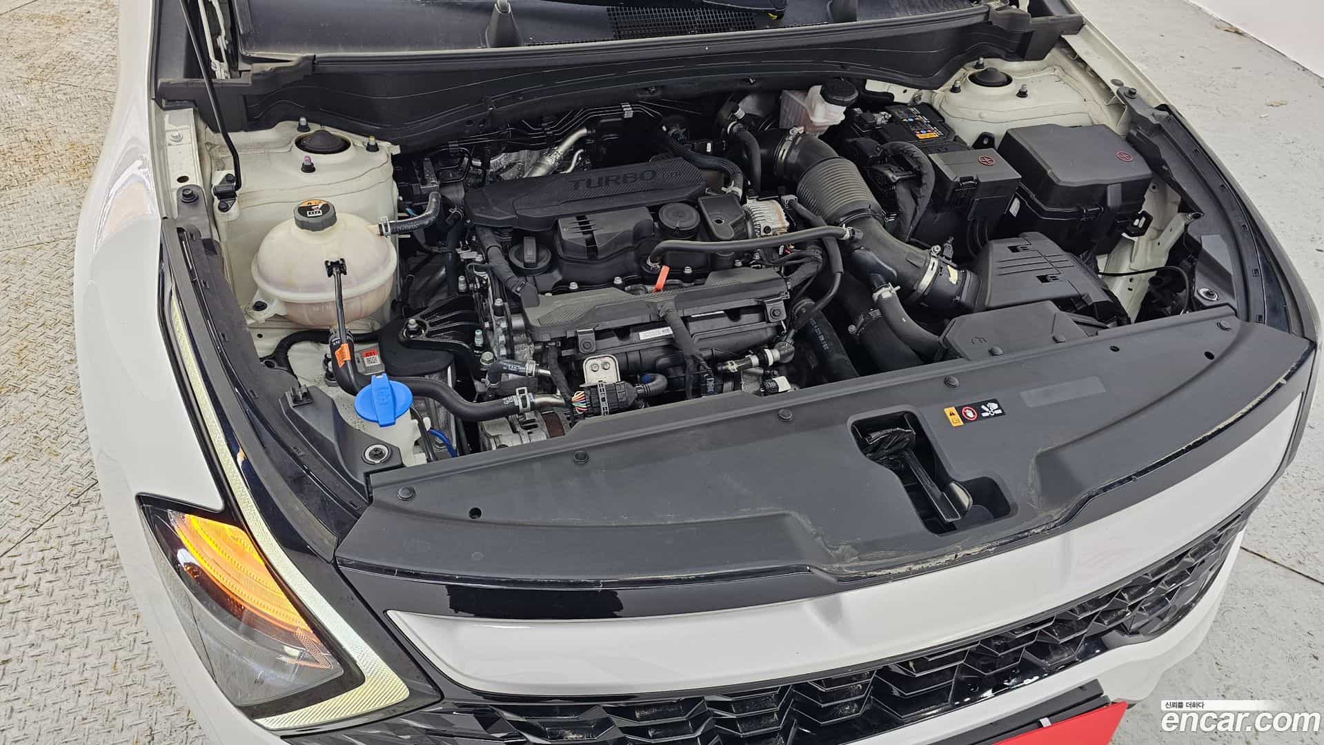 Sportage Kia 2022.1-INNER-006