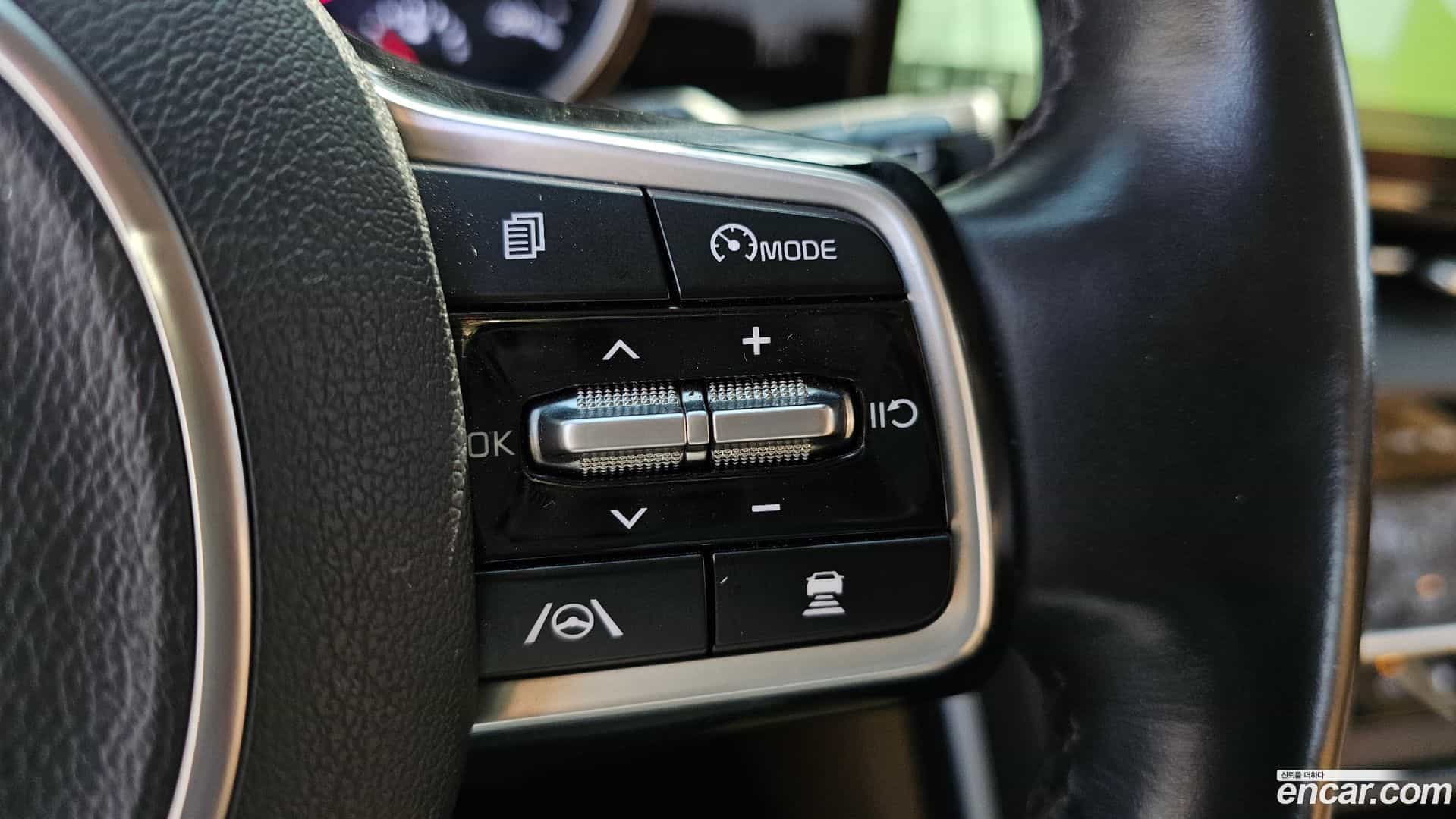Canival Kia 2021.11-OPTION-023
