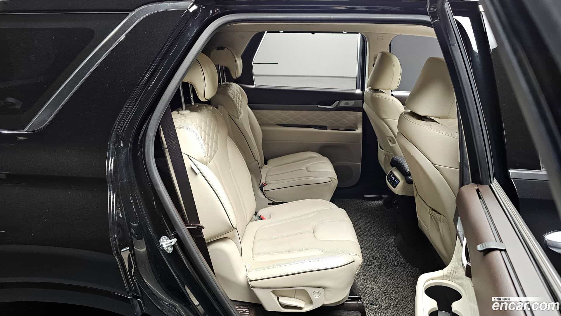 Palisade Hyundai 2021.1-OPTION-015