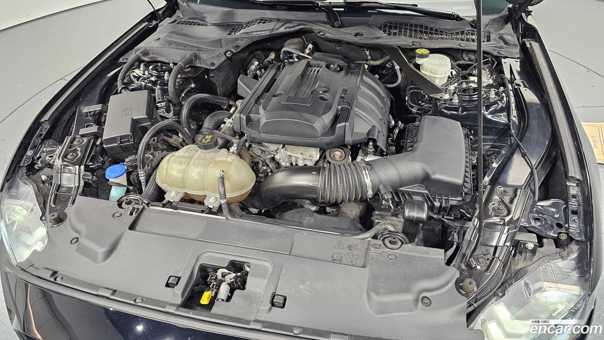 Mustang Ford 2020.11-OUTER-006