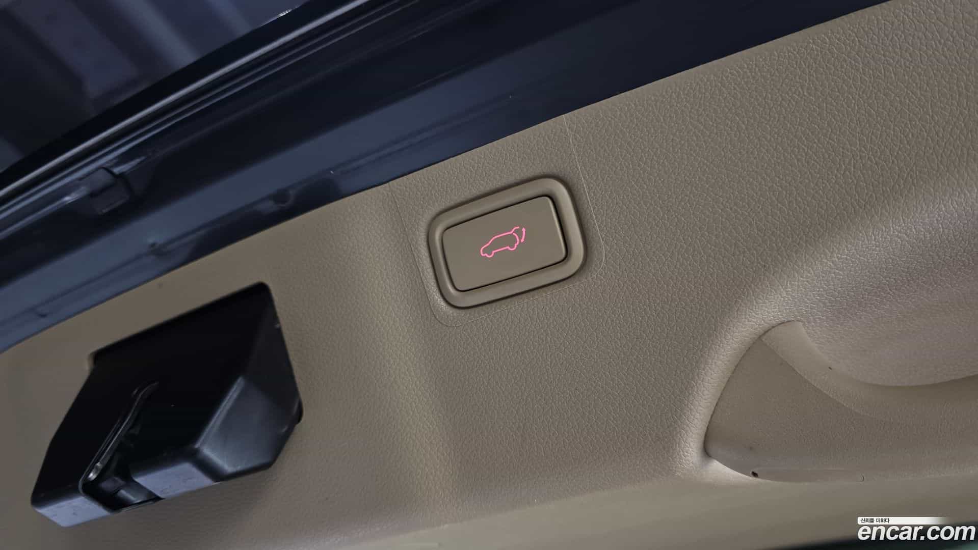 Canival Kia 2019.5-OPTION-024