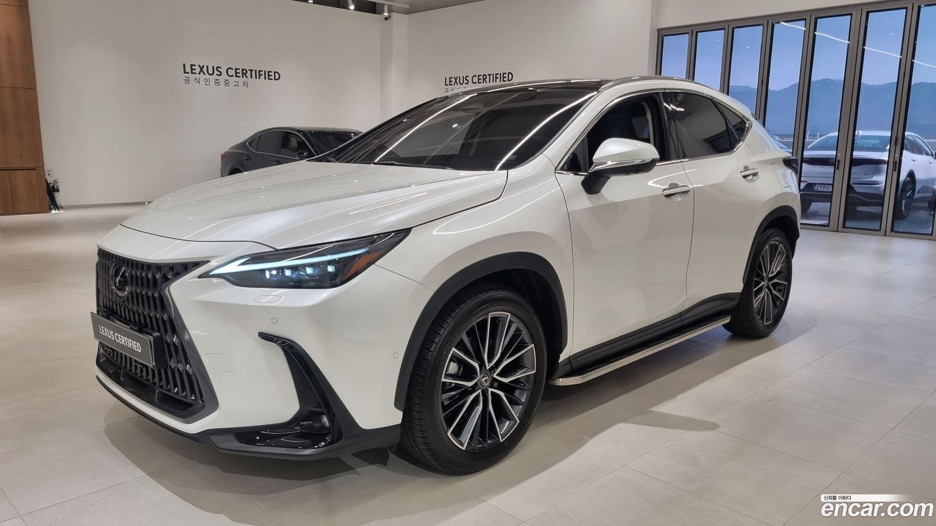Main__Slider__Photo:NX Lexus 2025.5-0