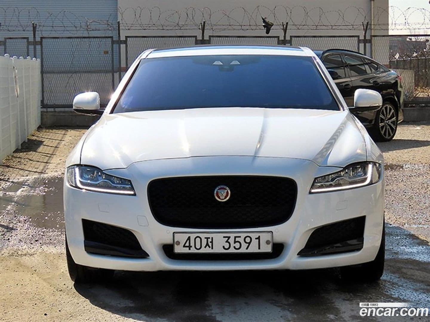 Main__Slider__Photo:XF Jaguar 2018.6-0
