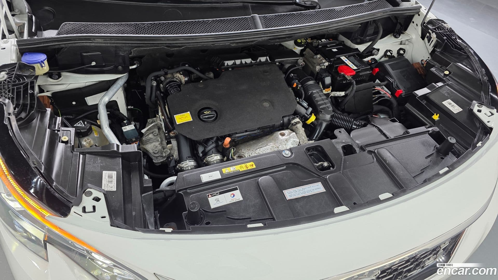 Main__Slider__Photo:5008 Peugeot 2019.2-5