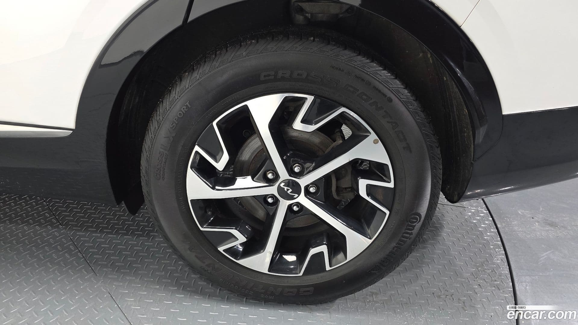 Main__Slider__Photo:Sportage Kia 2022.11-20