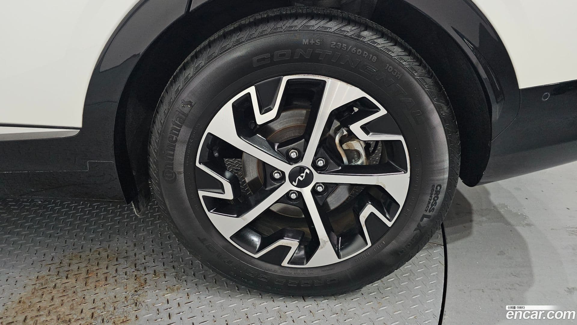Main__Slider__Photo:Sportage Kia 2022.10-20