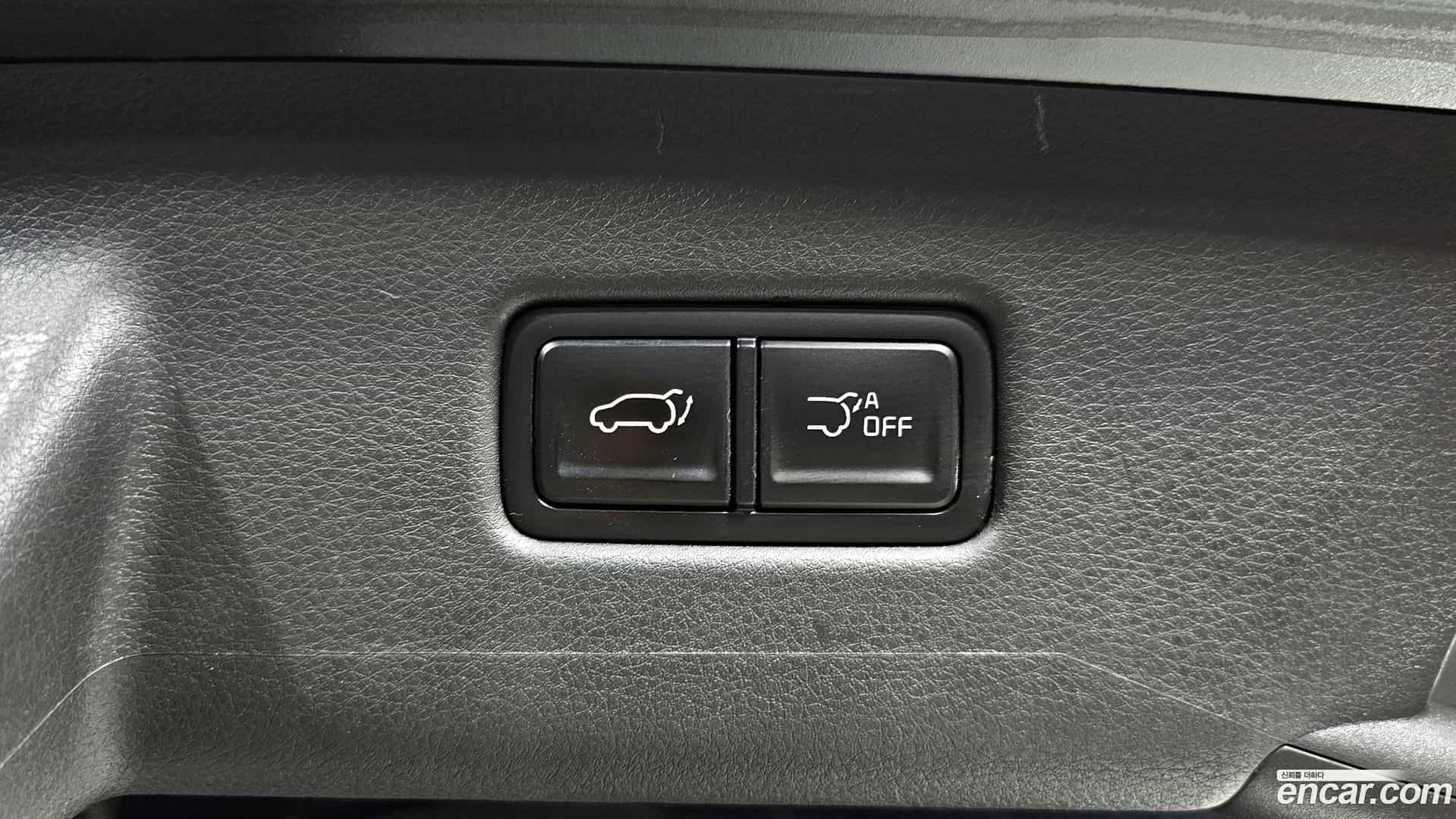 Canival Kia 2024.11-OPTION-018