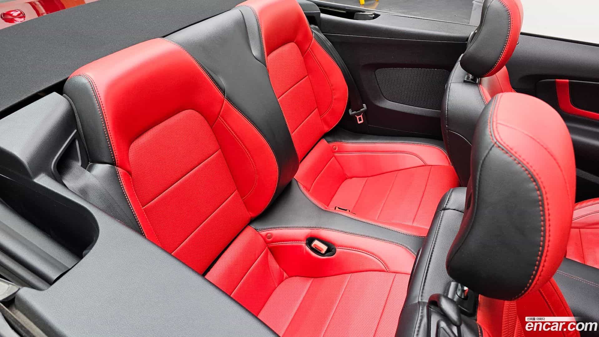 Mustang Ford 2019.0-OPTION-015