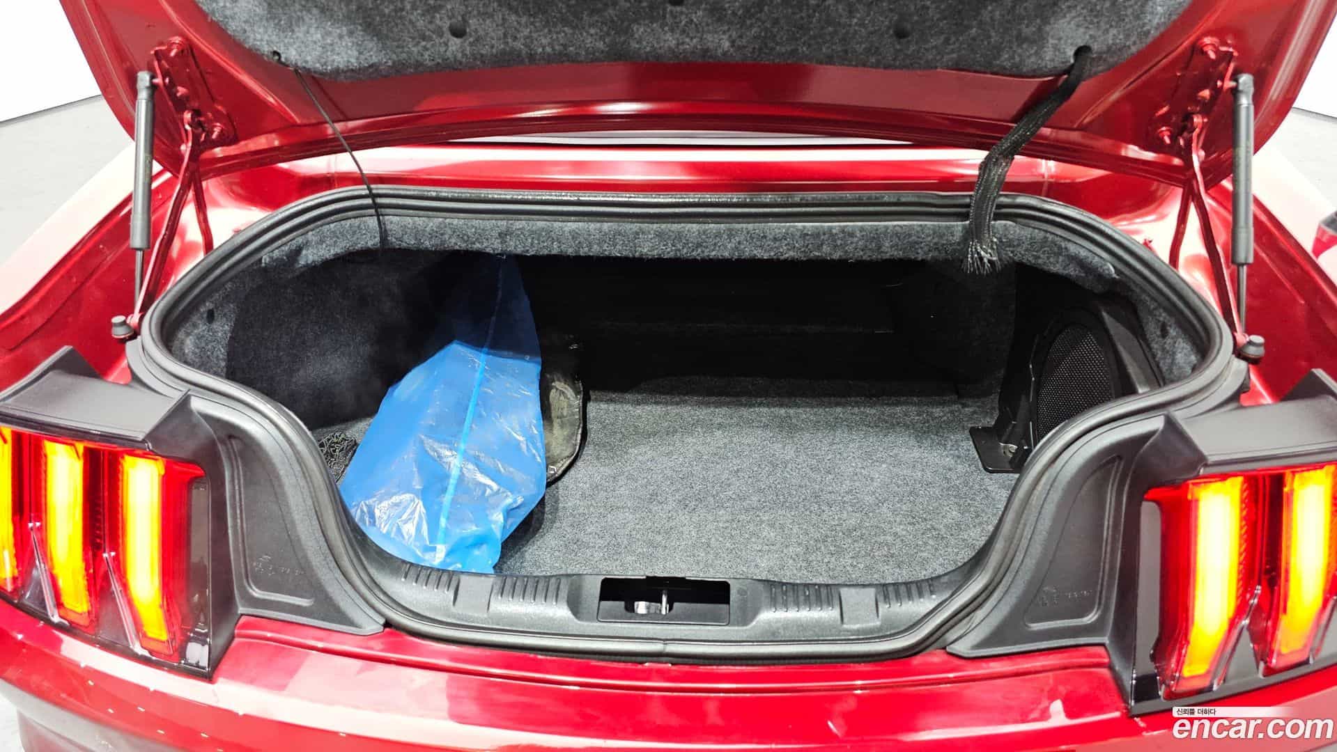 Mustang Ford 2019.0-OPTION-022