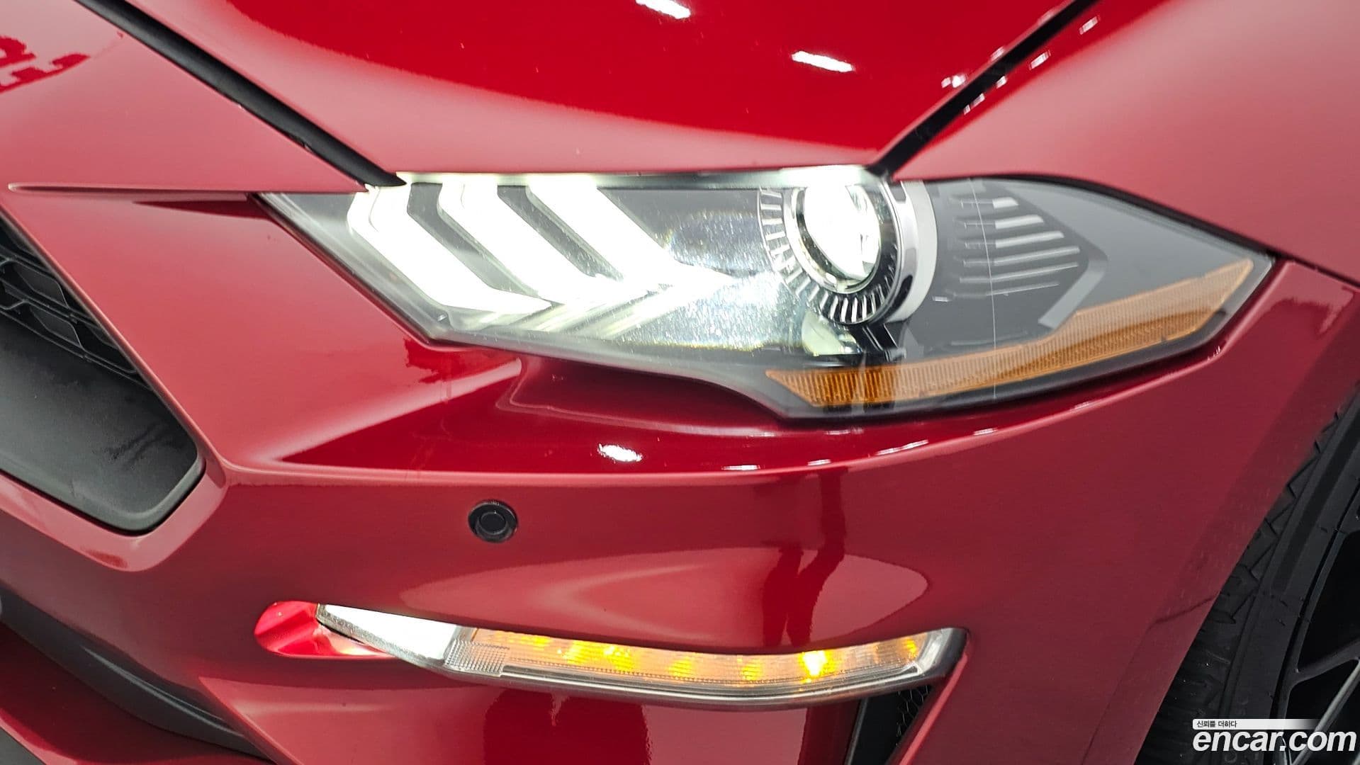 Main__Slider__Photo:Mustang Ford 2019.0-21