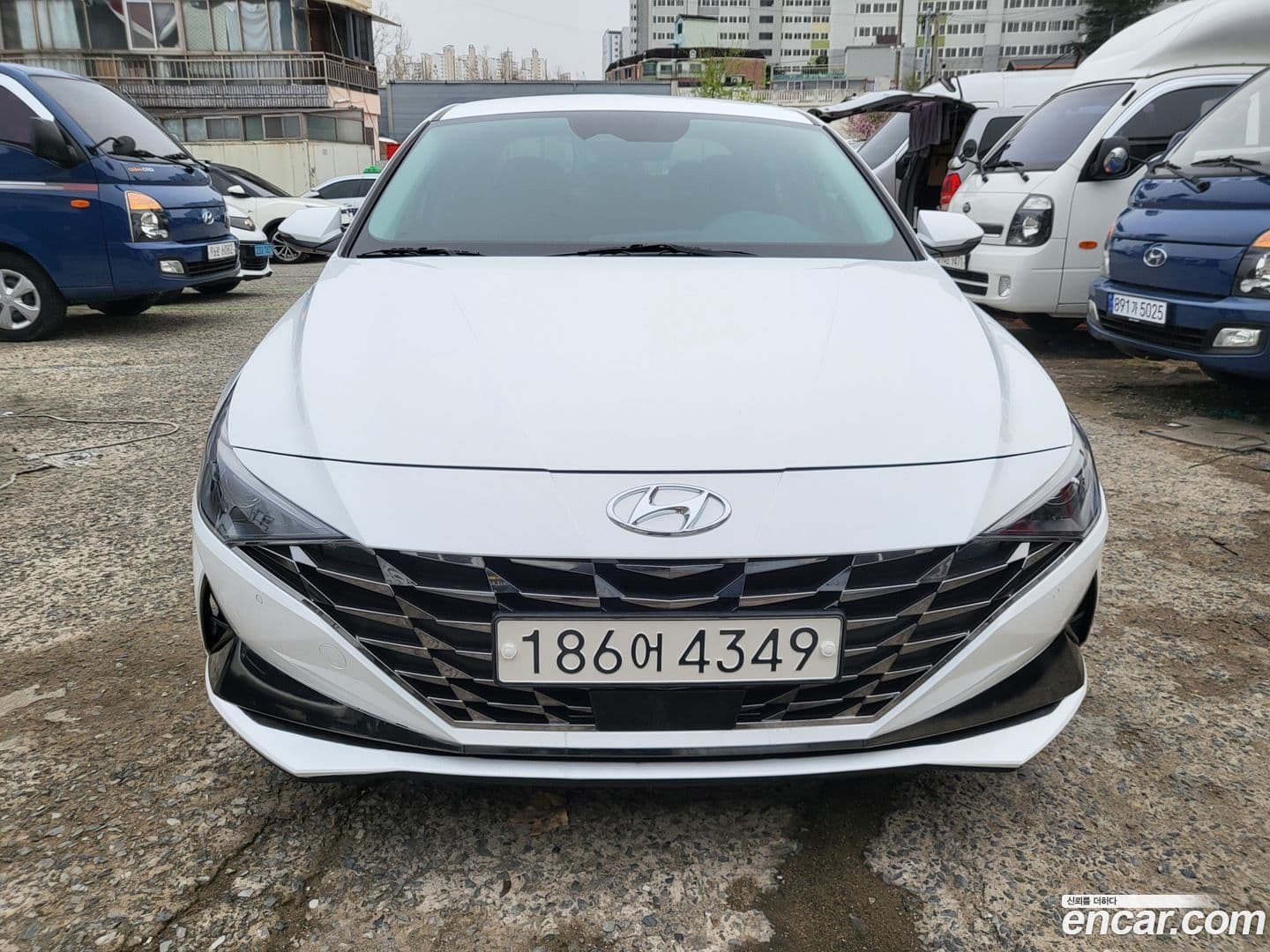 Main__Slider__Photo:AVANTE Hyundai 2023.2-0