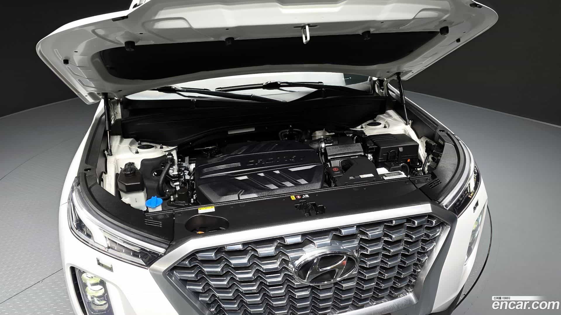 Palisade Hyundai 2019.11-OUTER-006