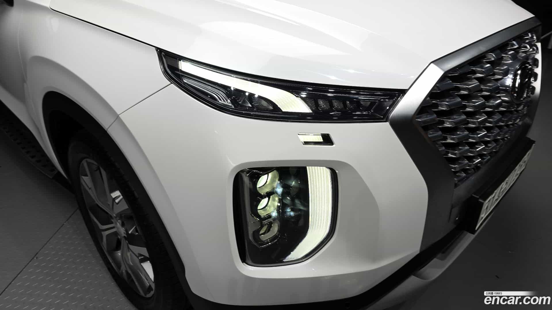 Palisade Hyundai 2019.11-OUTER-032