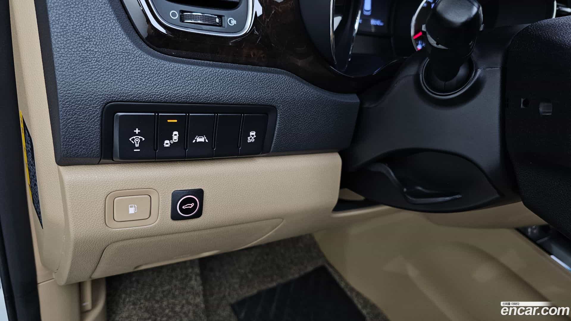 Canival Kia 2018.9-OPTION-021