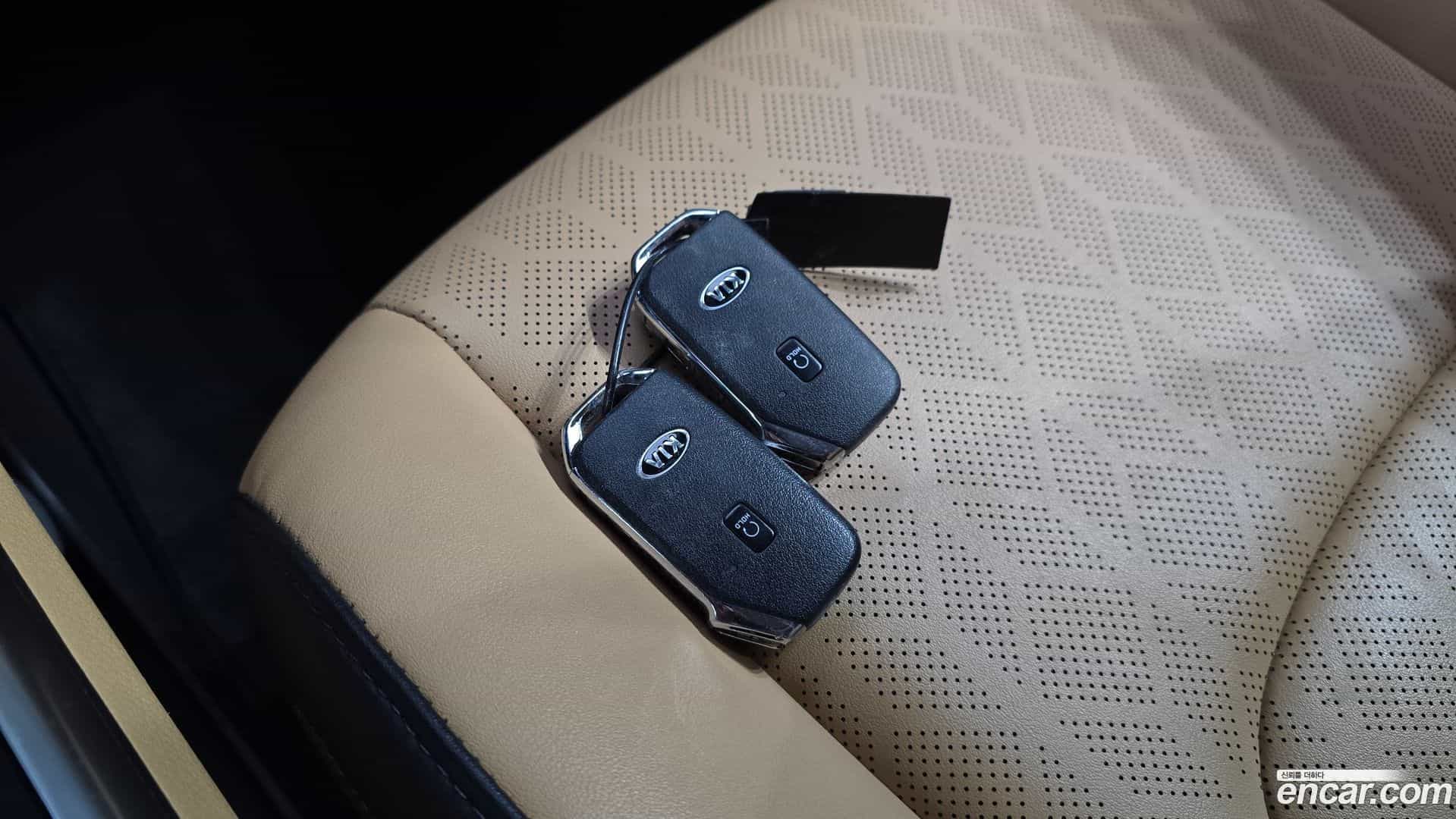 Canival Kia 2021.2-OPTION-021
