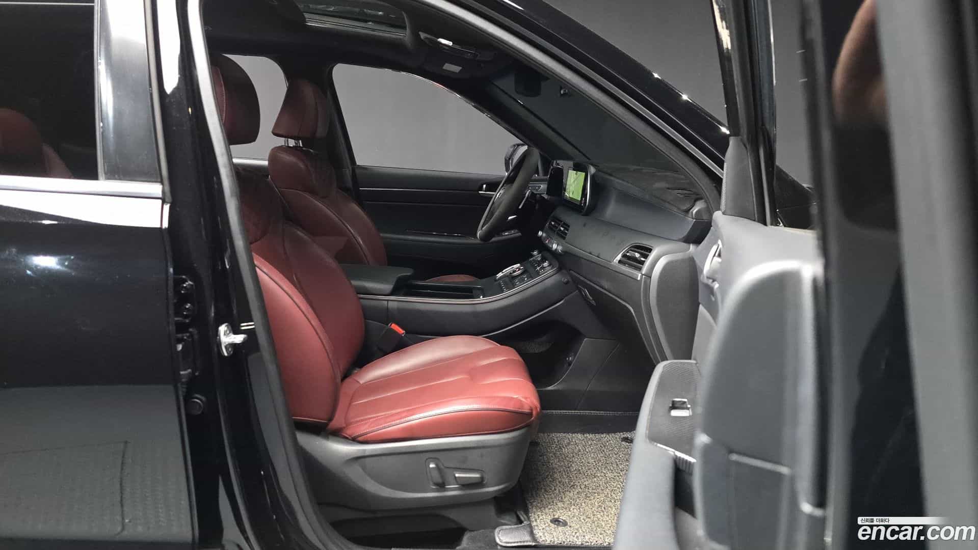 Palisade Hyundai 2019.6-OPTION-015