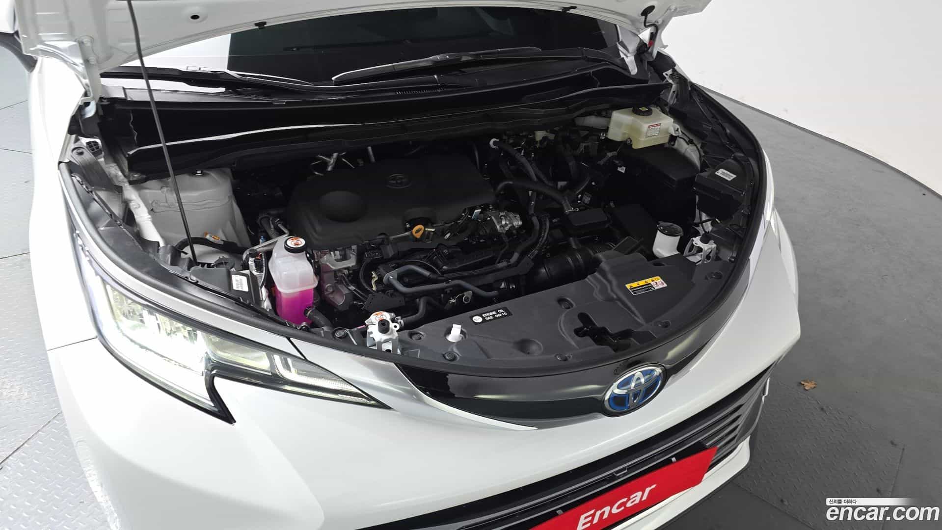 Sienna Toyota 2025.11-OUTER-006