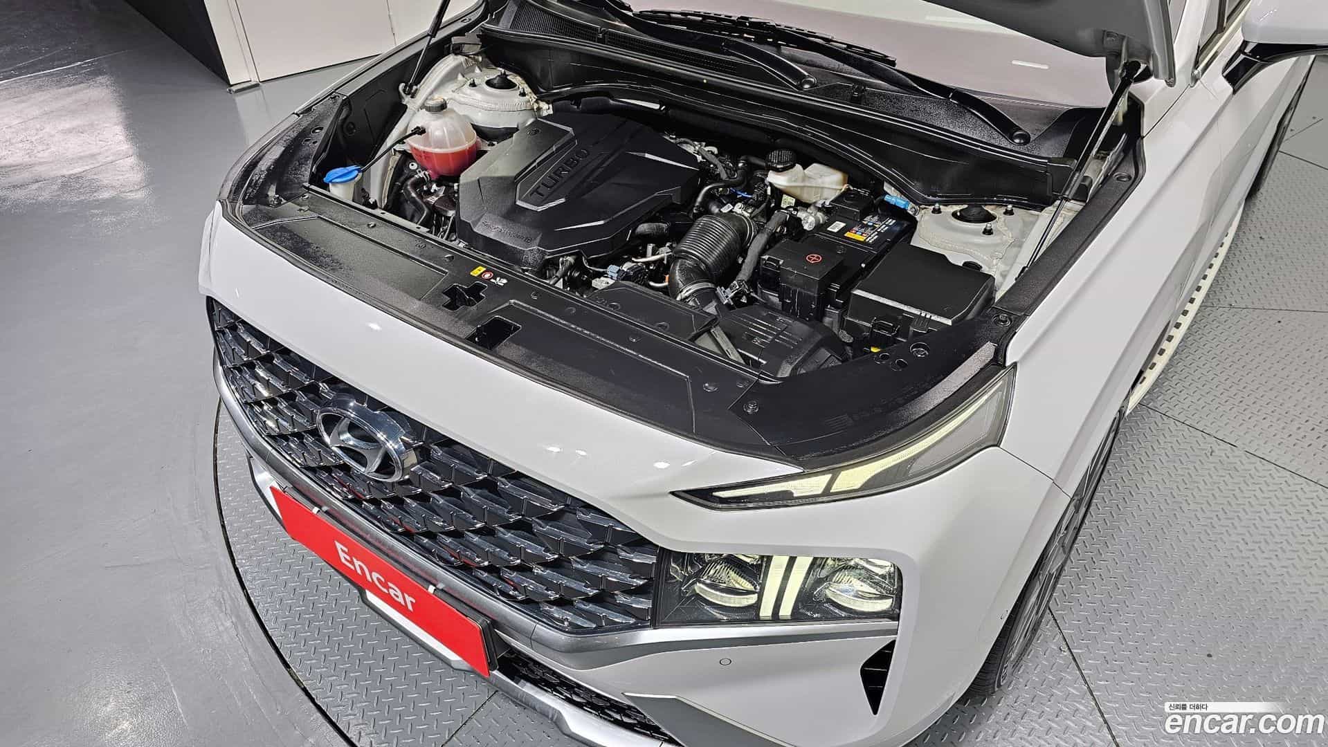 Santafe Hyundai 2020.11-OUTER-006