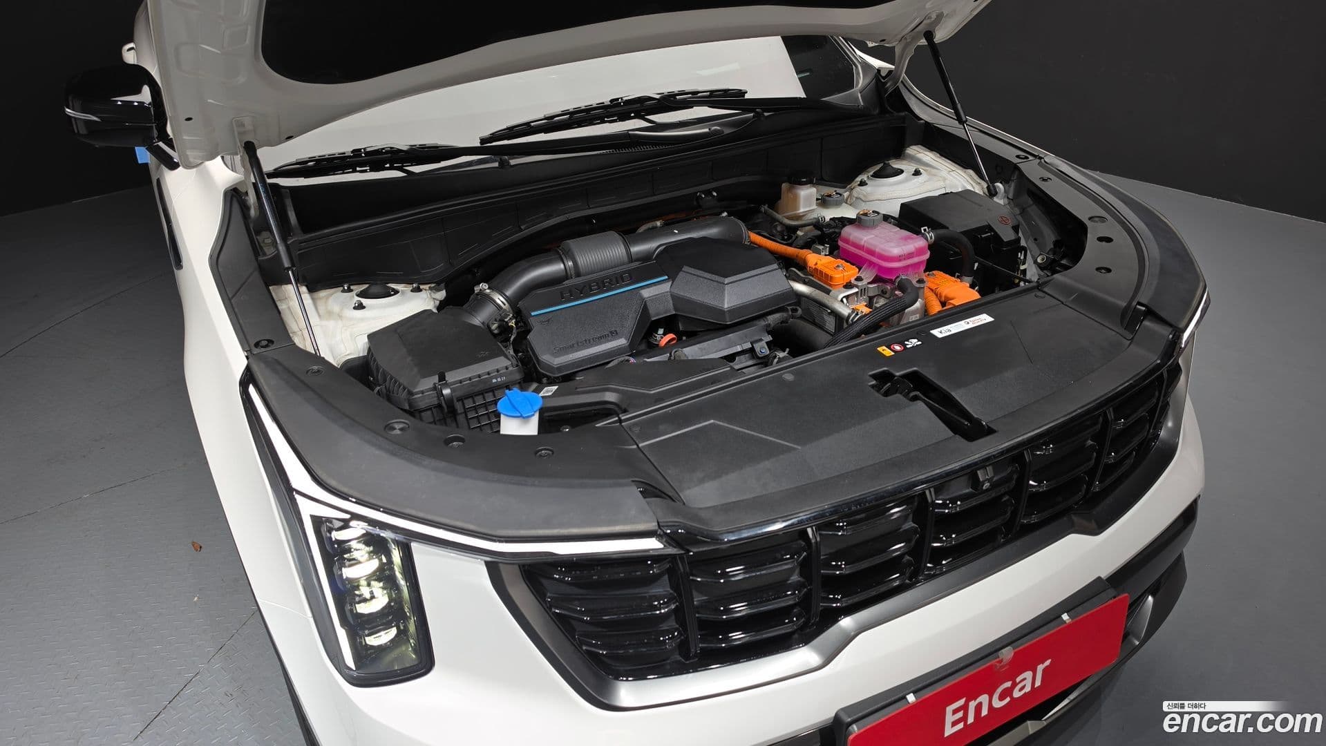 Main__Slider__Photo:Sorento Kia 2024.3-5
