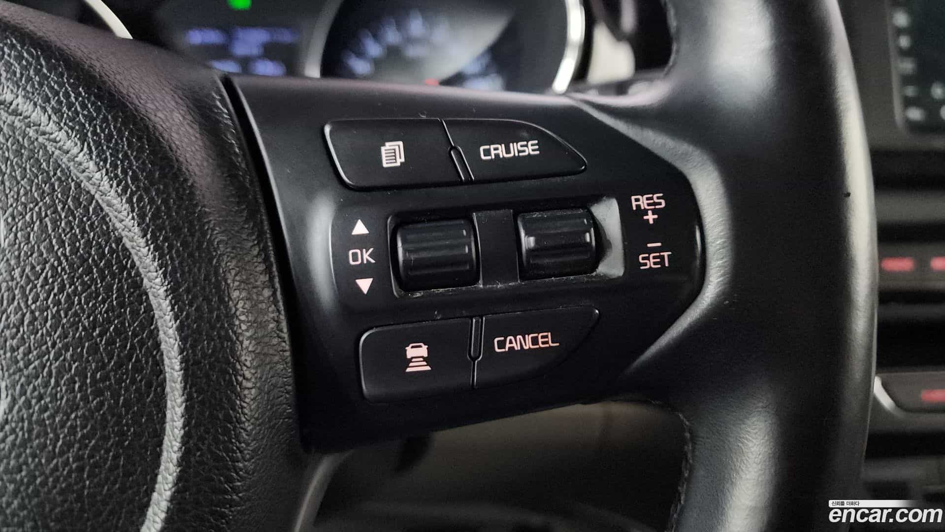 Canival Kia 2019.3-OPTION-048