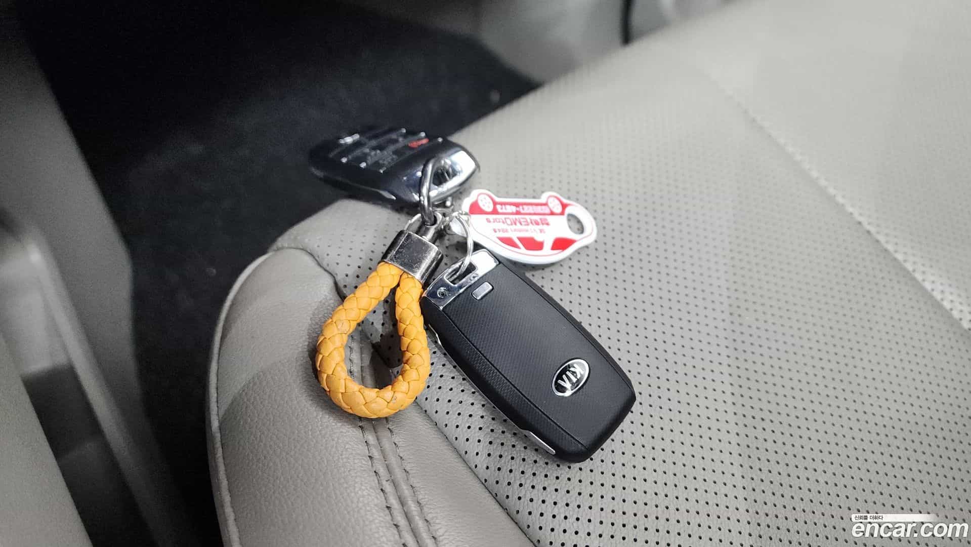 Canival Kia 2019.3-OPTION-049
