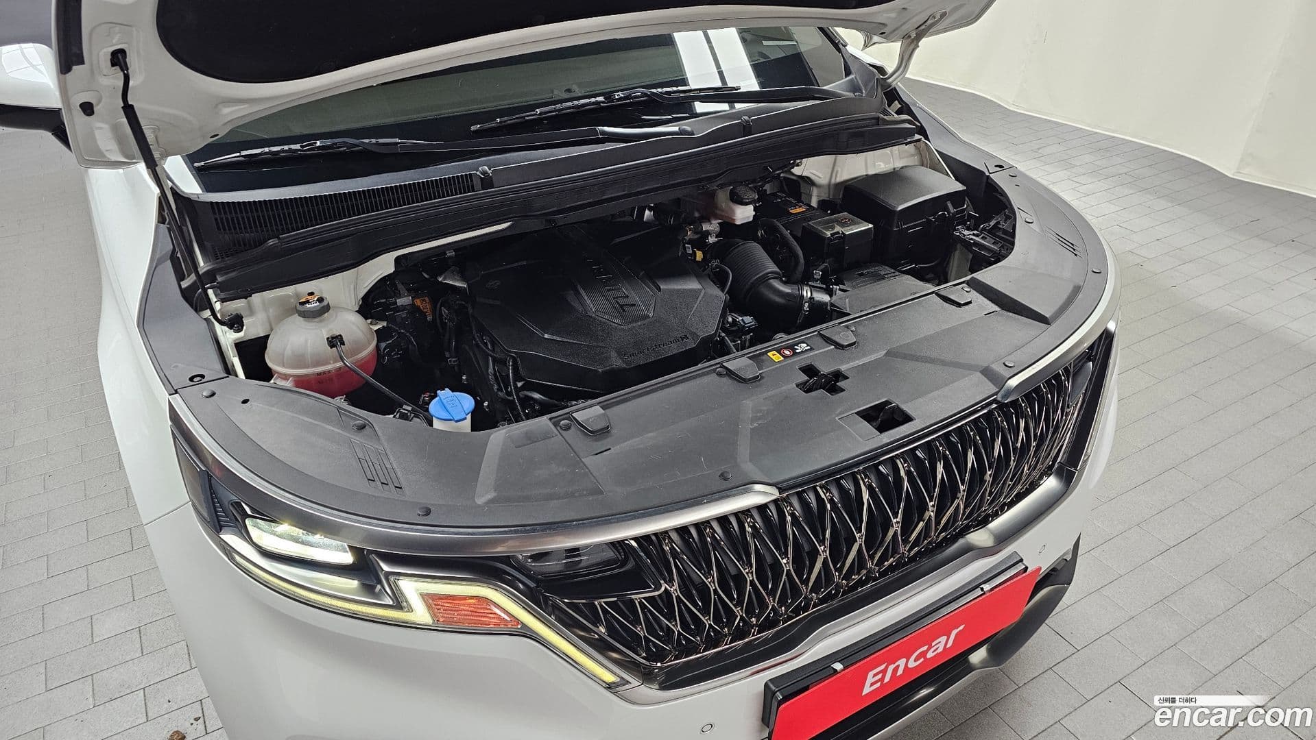 Main__Slider__Photo:Canival Kia 2022.3-5
