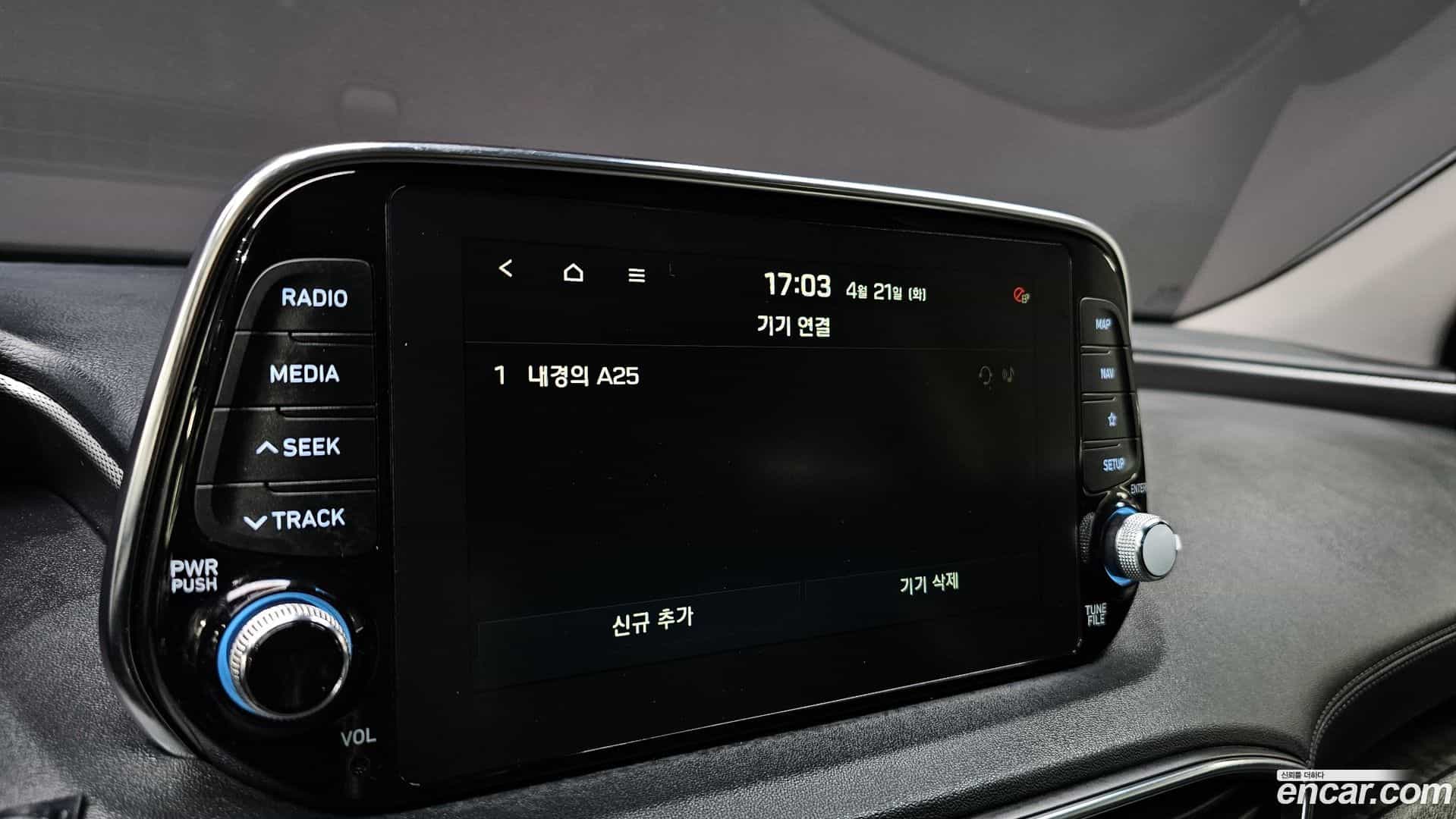 Santafe Hyundai 2019.0-OPTION-043