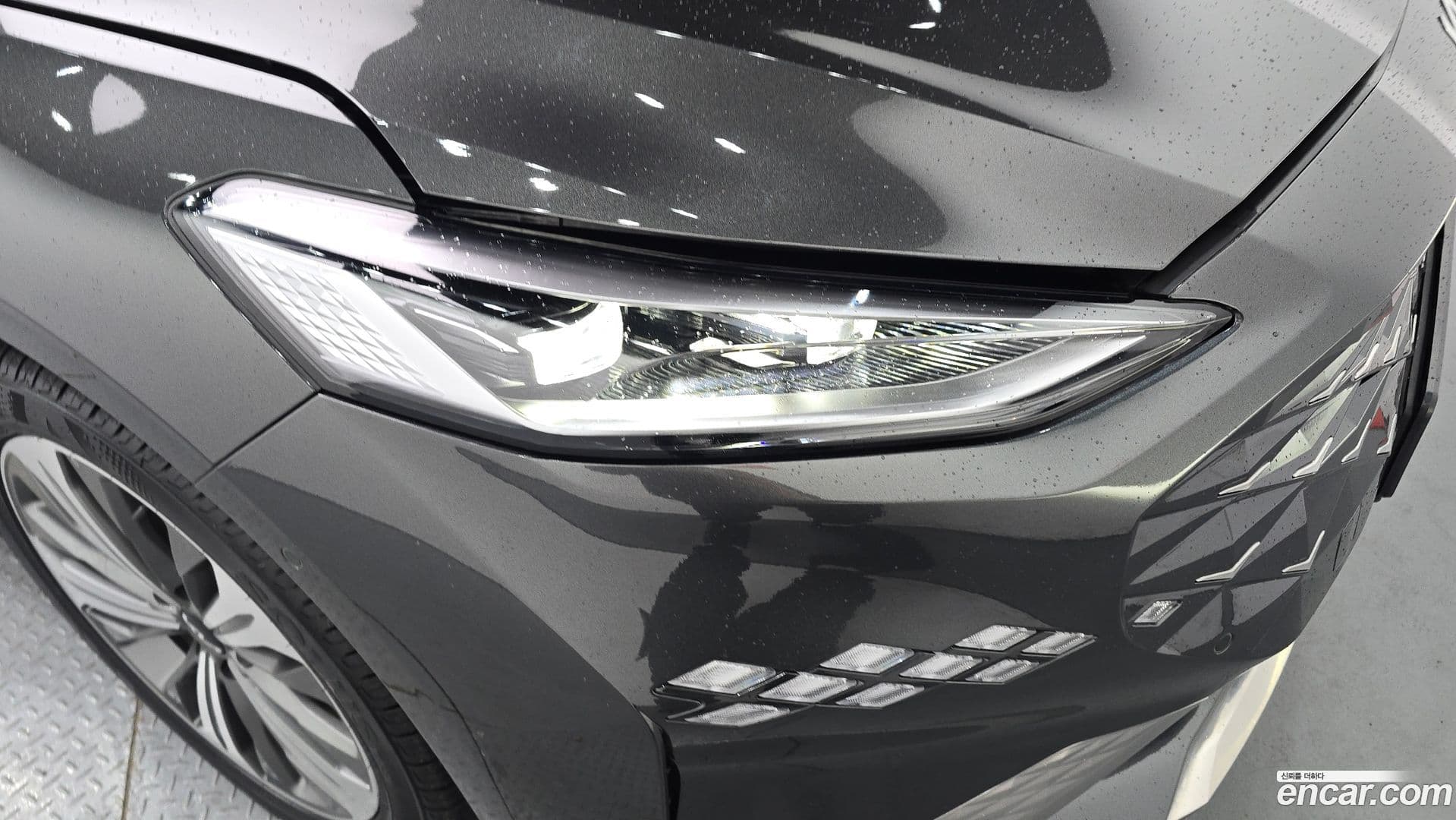 Main__Slider__Photo:K8 Kia 2023.5-21