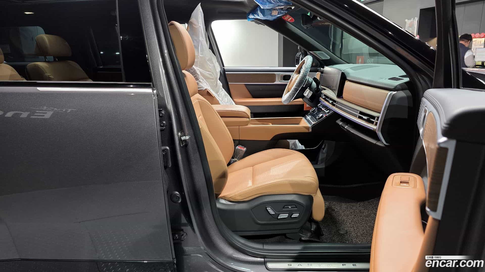 Santafe Hyundai 2024.3-OPTION-015